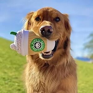 Star Pups Coffee Plush Squeaky Toy for Dogs